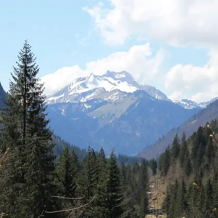 Chalet Avenir